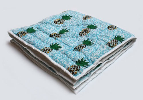 Blau ananas indisch - ananas,